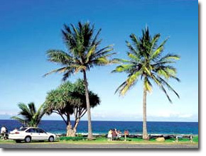 bargara