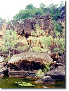 mandubbera