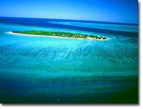 heron island