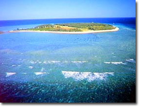 lady elliot island