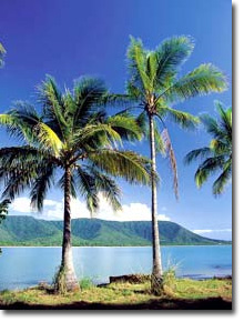 dunk island